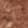 Pecan